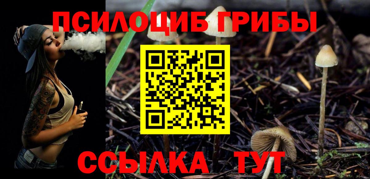 Галлюциногенные грибы ЛСД  Вход с VPN  Псилоцибиновые грибы GOLDEN TEACHER  Заволжье 
