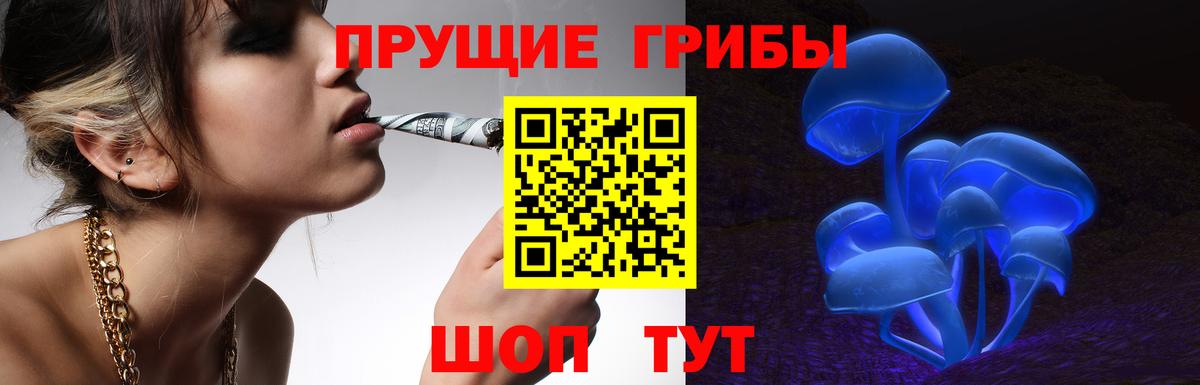 Галлюциногенные грибы прущие грибы Заволжье